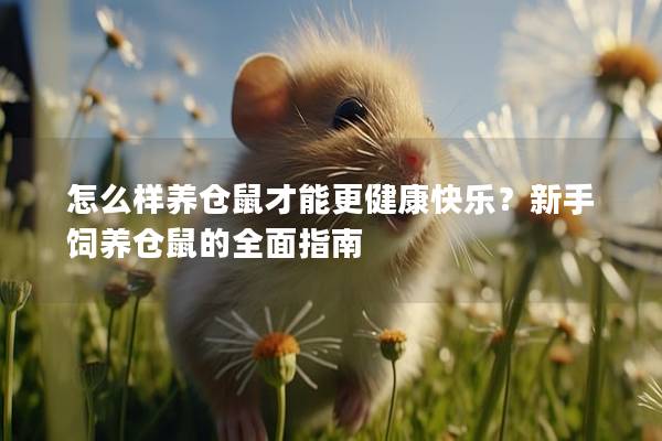 怎么样养仓鼠才能更健康快乐？新手饲养仓鼠的全面指南