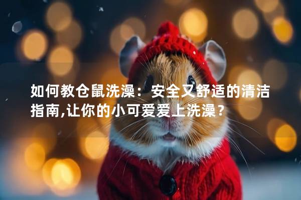 如何教仓鼠洗澡：安全又舒适的清洁指南,让你的小可爱爱上洗澡？