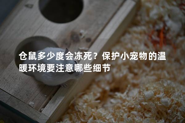 仓鼠多少度会冻死？保护小宠物的温暖环境要注意哪些细节