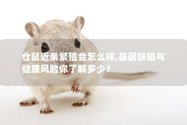 仓鼠近亲繁殖会怎么样,基因缺陷与健康风险你了解多少？