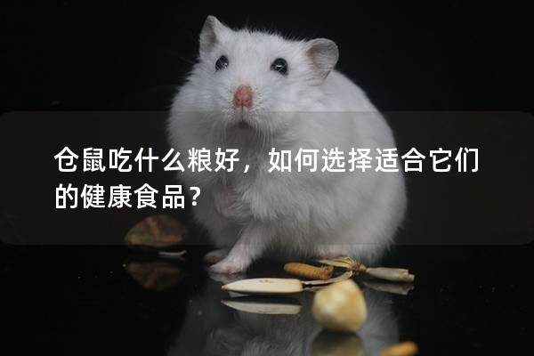 仓鼠吃什么粮好，如何选择适合它们的健康食品？