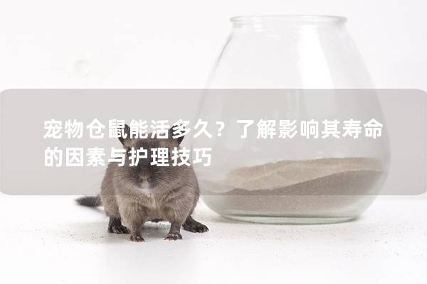 宠物仓鼠能活多久？了解影响其寿命的因素与护理技巧