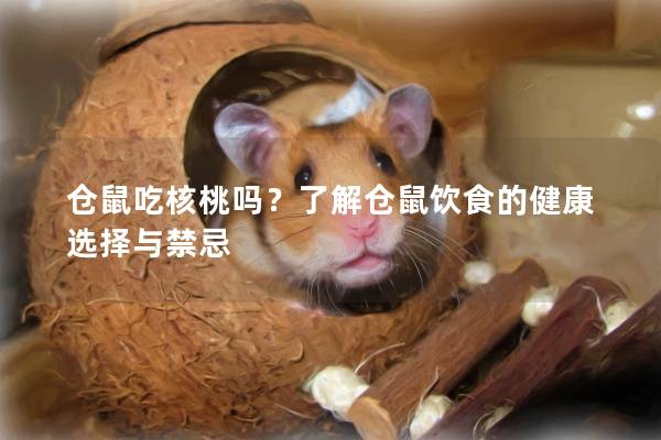 仓鼠吃核桃吗？了解仓鼠饮食的健康选择与禁忌
