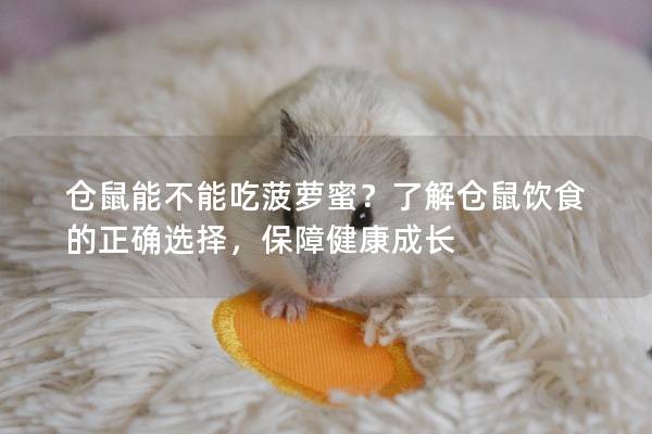 仓鼠能不能吃菠萝蜜？了解仓鼠饮食的正确选择，保障健康成长