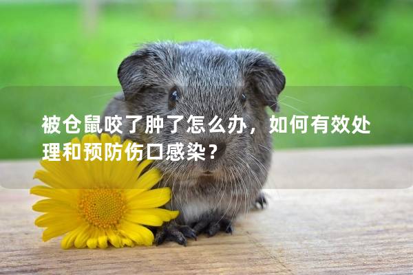 被仓鼠咬了肿了怎么办，如何有效处理和预防伤口感染？
