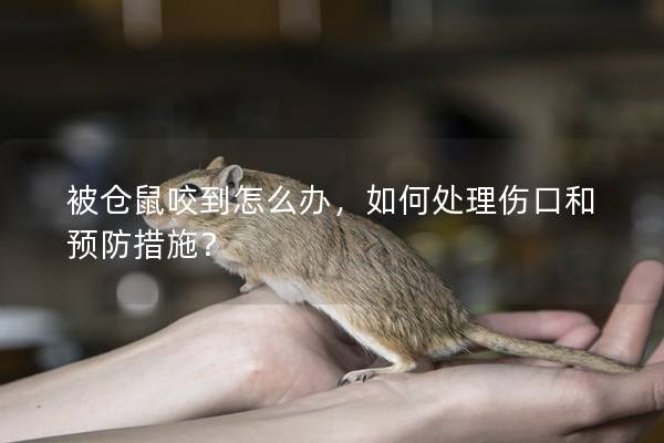被仓鼠咬到怎么办，如何处理伤口和预防措施？