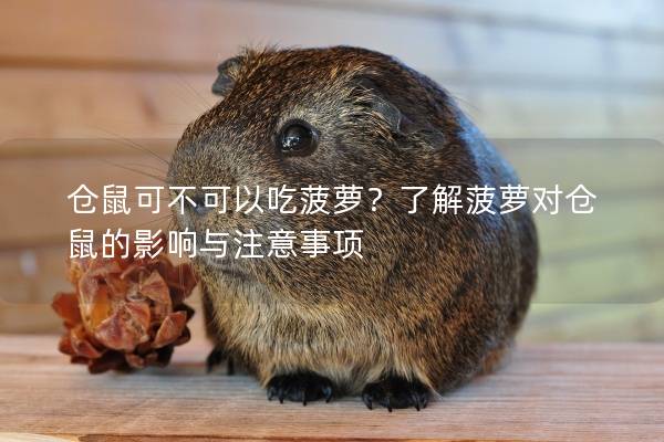 仓鼠可不可以吃菠萝？了解菠萝对仓鼠的影响与注意事项