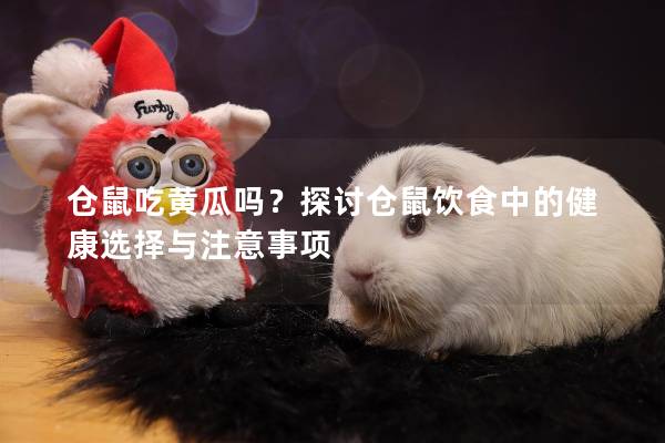 仓鼠吃黄瓜吗？探讨仓鼠饮食中的健康选择与注意事项