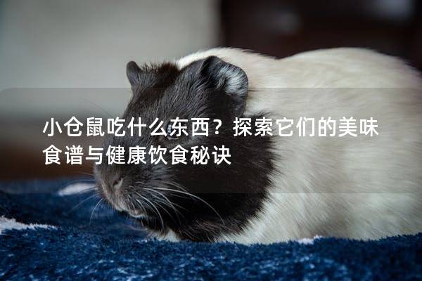 小仓鼠吃什么东西？探索它们的美味食谱与健康饮食秘诀