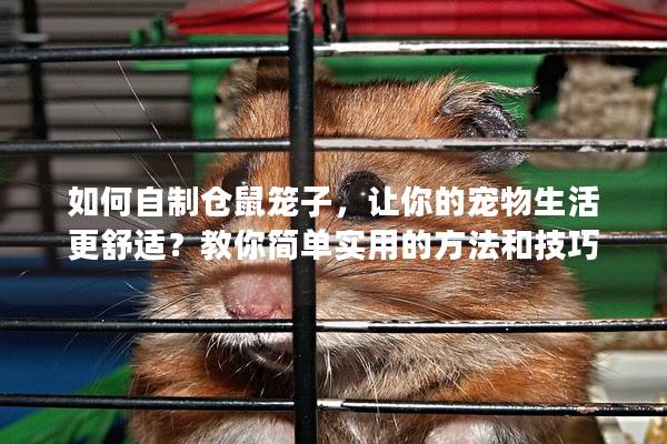 如何自制仓鼠笼子，让你的宠物生活更舒适？教你简单实用的方法和技巧