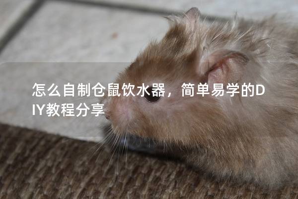 怎么自制仓鼠饮水器，简单易学的DIY教程分享
