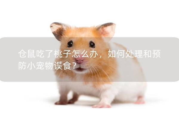 仓鼠吃了桃子怎么办，如何处理和预防小宠物误食？