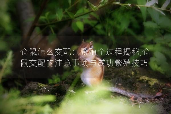 仓鼠怎么交配：繁殖全过程揭秘,仓鼠交配的注意事项与成功繁殖技巧