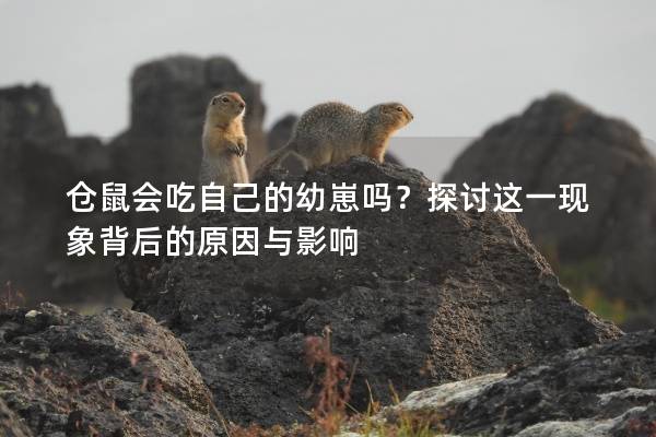 仓鼠会吃自己的幼崽吗？探讨这一现象背后的原因与影响