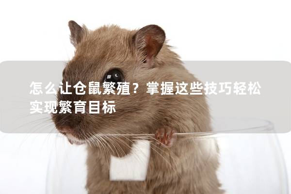 怎么让仓鼠繁殖？掌握这些技巧轻松实现繁育目标