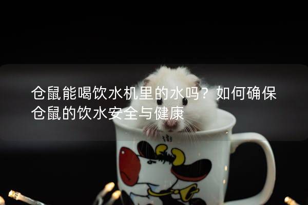 仓鼠能喝饮水机里的水吗？如何确保仓鼠的饮水安全与健康