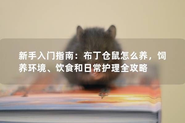 新手入门指南：布丁仓鼠怎么养，饲养环境、饮食和日常护理全攻略