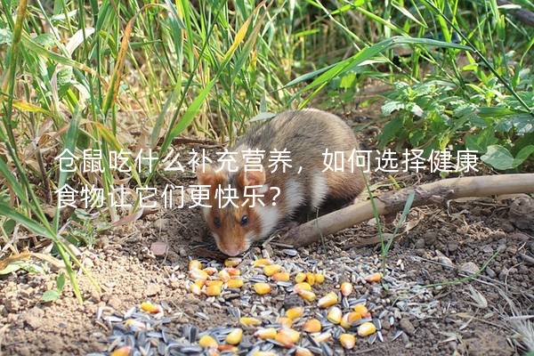 仓鼠吃什么补充营养，如何选择健康食物让它们更快乐？