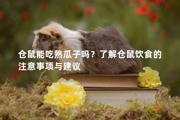 仓鼠能吃熟瓜子吗？了解仓鼠饮食的注意事项与建议