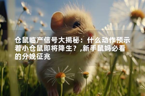 仓鼠临产信号大揭秘：什么动作预示着小仓鼠即将降生？,新手鼠妈必看的分娩征兆