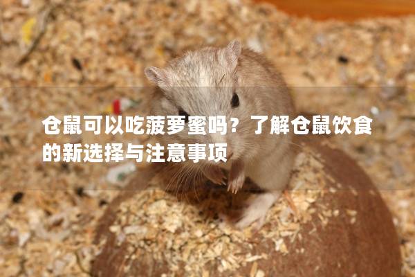 仓鼠可以吃菠萝蜜吗？了解仓鼠饮食的新选择与注意事项