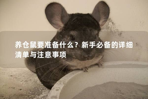 养仓鼠要准备什么？新手必备的详细清单与注意事项
