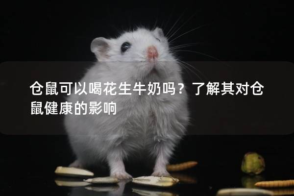 仓鼠可以喝花生牛奶吗？了解其对仓鼠健康的影响