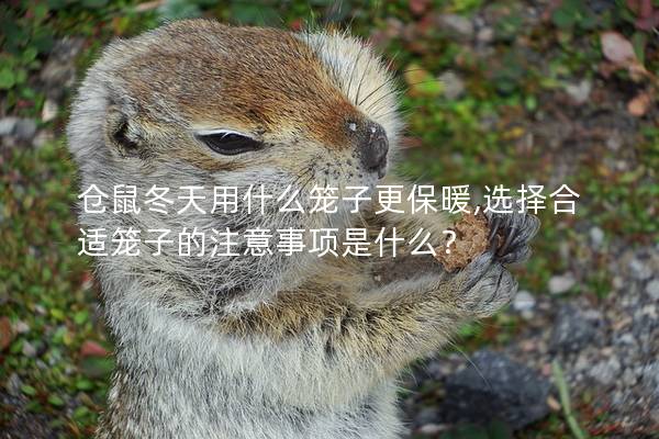 仓鼠冬天用什么笼子更保暖,选择合适笼子的注意事项是什么？