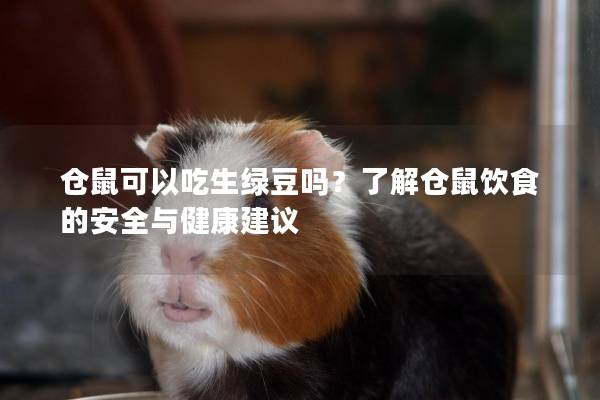 仓鼠可以吃生绿豆吗？了解仓鼠饮食的安全与健康建议