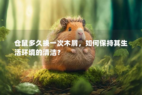 仓鼠多久换一次木屑，如何保持其生活环境的清洁？