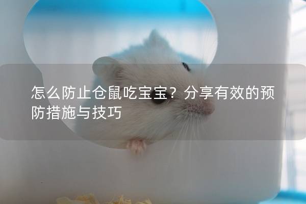 怎么防止仓鼠吃宝宝？分享有效的预防措施与技巧