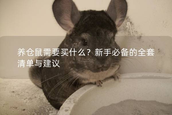养仓鼠需要买什么？新手必备的全套清单与建议