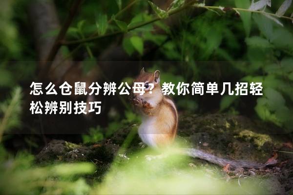 怎么仓鼠分辨公母？教你简单几招轻松辨别技巧
