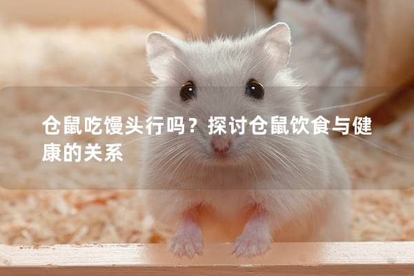 仓鼠吃馒头行吗？探讨仓鼠饮食与健康的关系