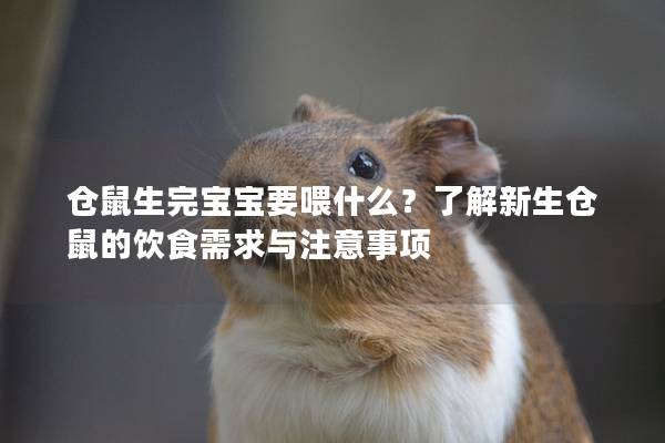 仓鼠生完宝宝要喂什么？了解新生仓鼠的饮食需求与注意事项