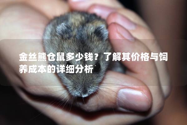 金丝熊仓鼠多少钱？了解其价格与饲养成本的详细分析