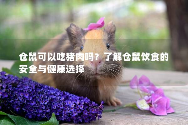 仓鼠可以吃猪肉吗？了解仓鼠饮食的安全与健康选择