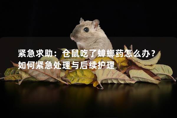 紧急求助：仓鼠吃了蟑螂药怎么办？如何紧急处理与后续护理