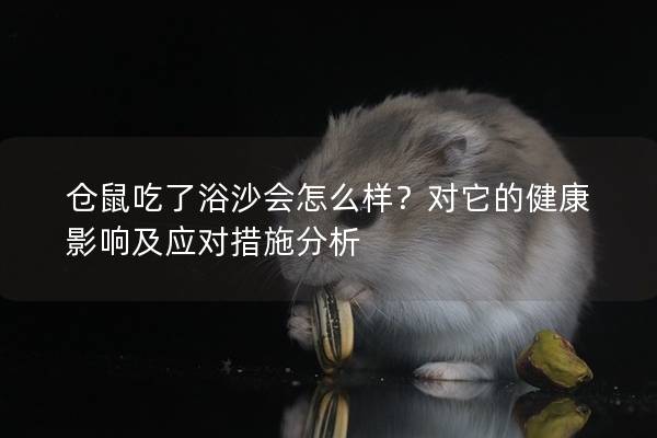 仓鼠吃了浴沙会怎么样？对它的健康影响及应对措施分析