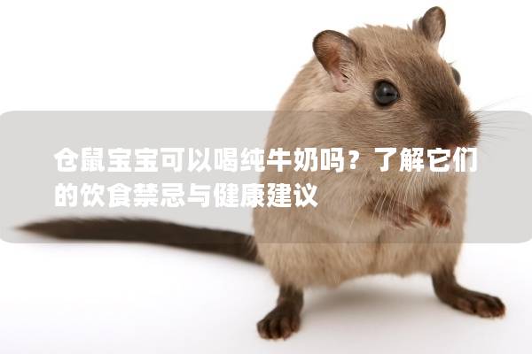 仓鼠宝宝可以喝纯牛奶吗？了解它们的饮食禁忌与健康建议