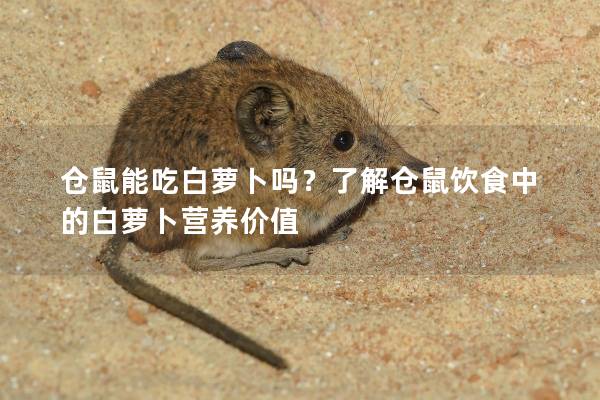 仓鼠能吃白萝卜吗？了解仓鼠饮食中的白萝卜营养价值