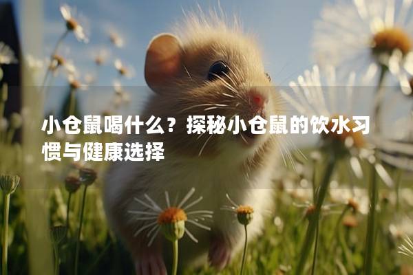 小仓鼠喝什么？探秘小仓鼠的饮水习惯与健康选择