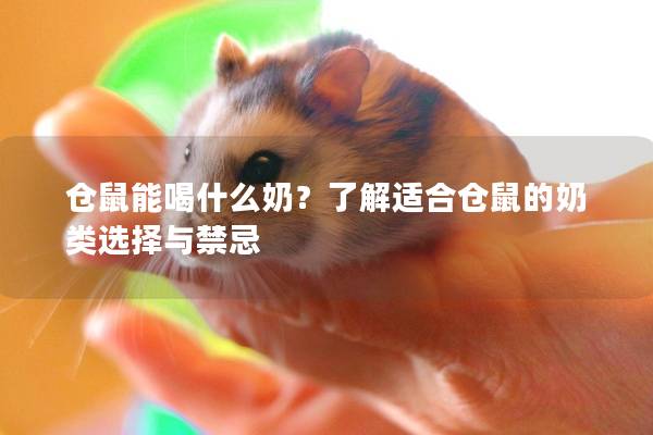 仓鼠能喝什么奶？了解适合仓鼠的奶类选择与禁忌