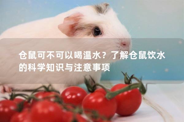 仓鼠可不可以喝温水？了解仓鼠饮水的科学知识与注意事项