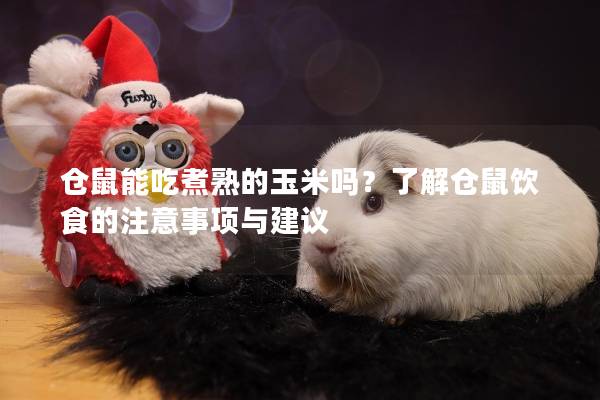 仓鼠能吃煮熟的玉米吗？了解仓鼠饮食的注意事项与建议