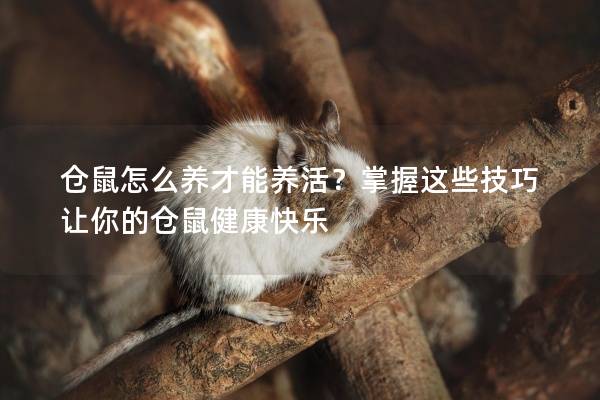 仓鼠怎么养才能养活？掌握这些技巧让你的仓鼠健康快乐