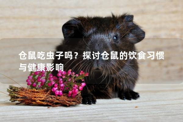 仓鼠吃虫子吗？探讨仓鼠的饮食习惯与健康影响