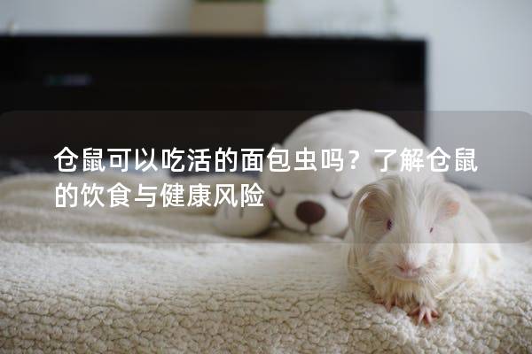 仓鼠可以吃活的面包虫吗？了解仓鼠的饮食与健康风险
