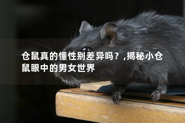 仓鼠真的懂性别差异吗？,揭秘小仓鼠眼中的男女世界