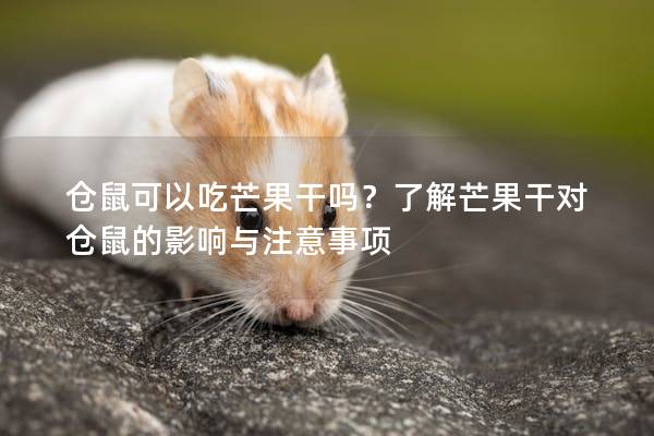 仓鼠可以吃芒果干吗？了解芒果干对仓鼠的影响与注意事项